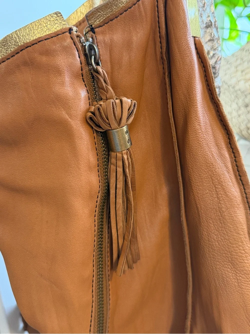 Leather Tassel Hobo Bag - Brown & Gold